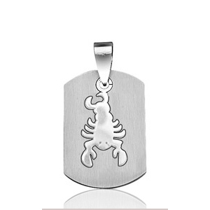 Pendentif zodiaque Scorpion plaque G.I. en acier